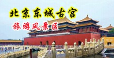 亚洲色图欧美性爱制服诱惑中国北京-东城古宫旅游风景区